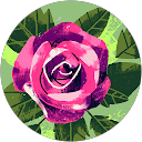 Maggie Minani profile picture